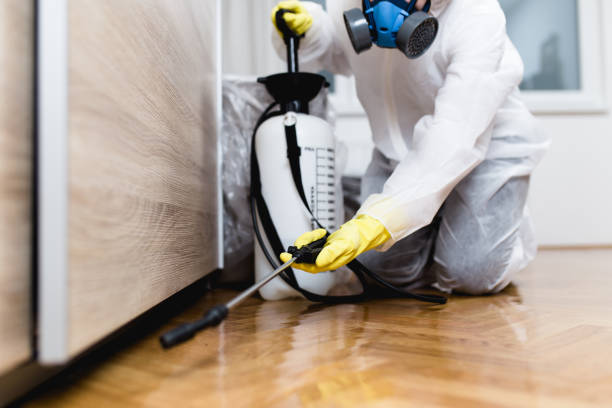 Best Termite Control Services  in Reno, OH