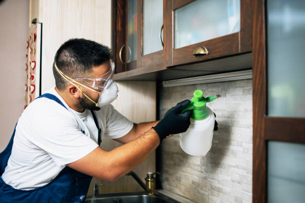 Best Wildlife Control Services  in Reno, OH