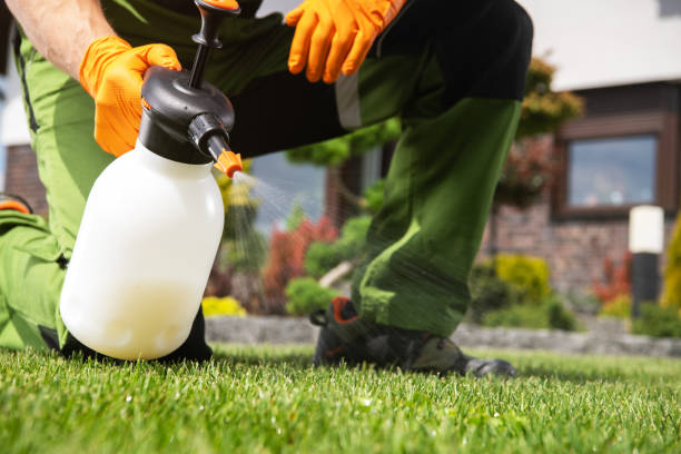 Best Rat Extermination Near Me  in Reno, OH