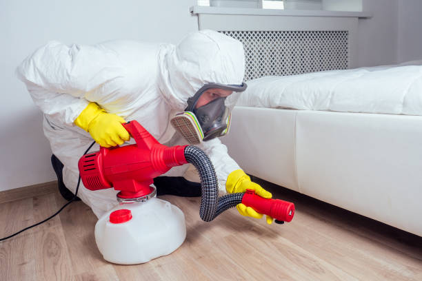 Best Affordable Pest Control Services  in Reno, OH