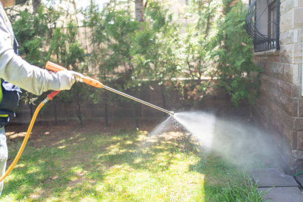 Best Pest Control for Homes  in Reno, OH