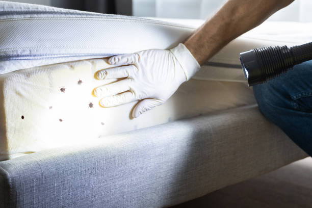Best Affordable Exterminators  in Reno, OH