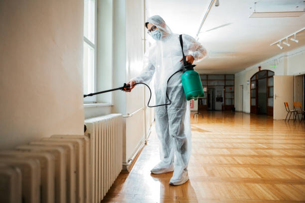 Best Ant Control Services  in Reno, OH