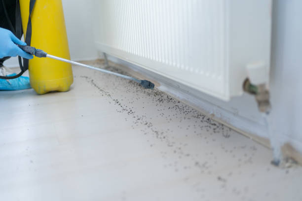 Best Local Pest Control Services  in Reno, OH