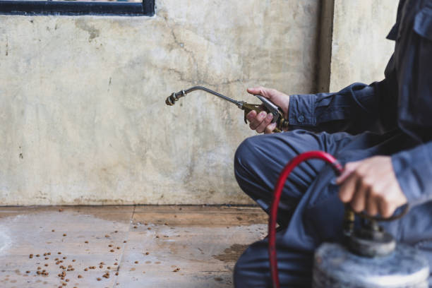 Best Pest Control Cost  in Reno, OH