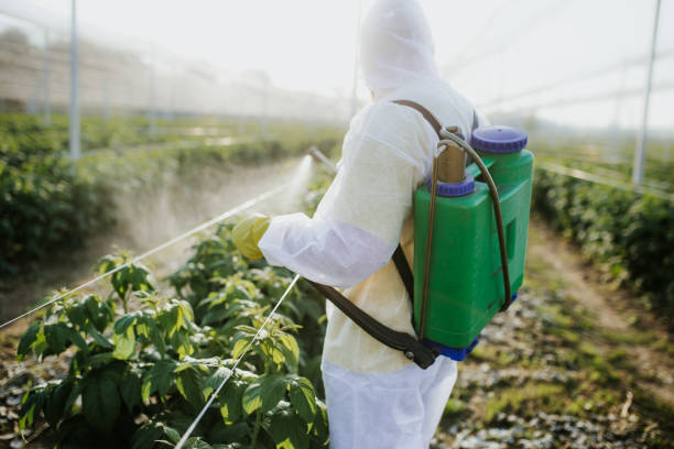 Best Pest Inspection Near Me  in Reno, OH
